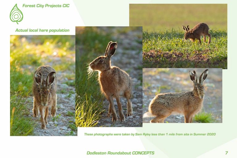 Evidence of local wildlife