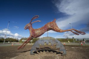 A giant hare