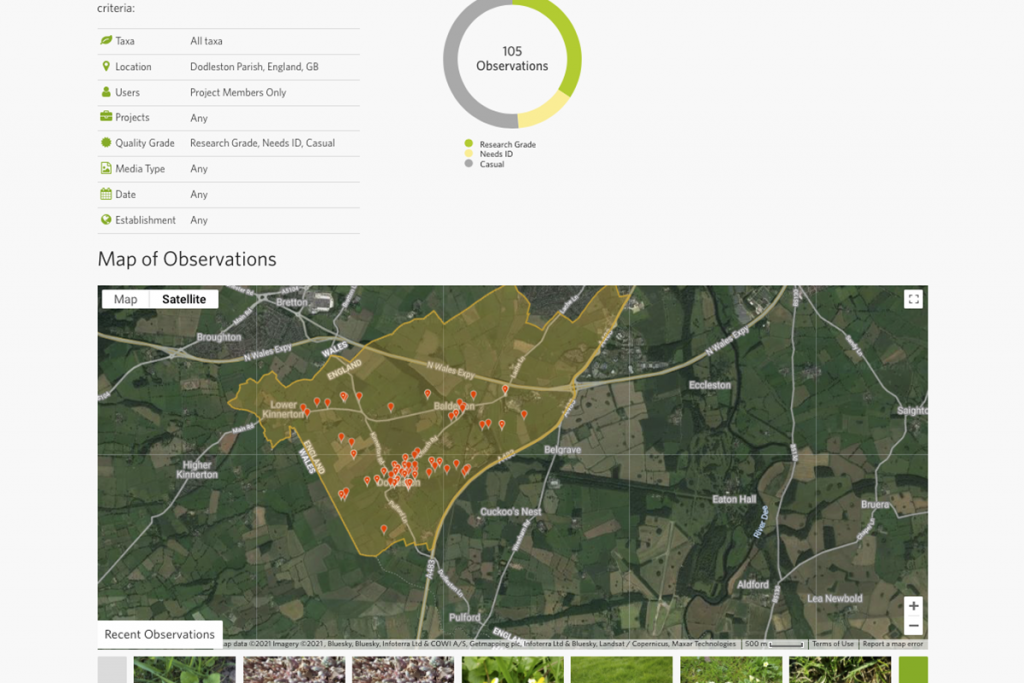 iNaturalist